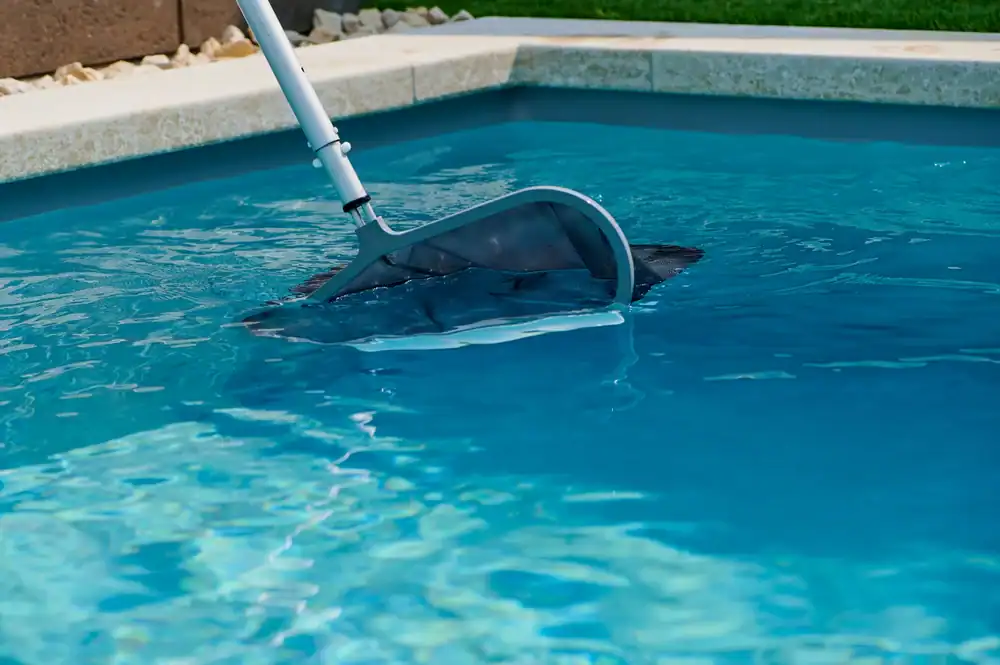 A pool skimmer net attached to a pole is being used to clean debris from the surface of a clear blue swimming pool, showcasing expert pool construction in Douglas County, GA.