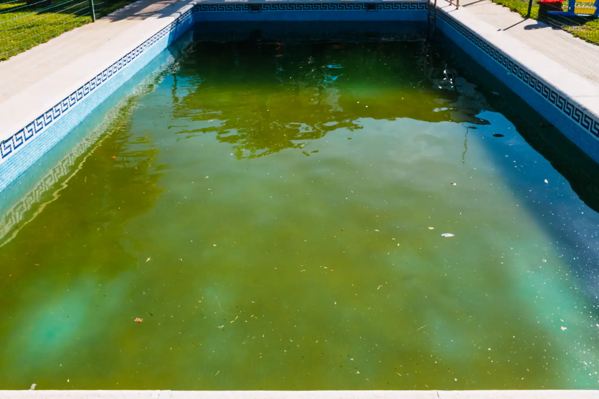 A swimming pool with murky green water, indicating it is unclean and poorly maintained. Leaves and debris are floating on the water’s surface. The pool is surrounded by tiled edges and a grassy area.