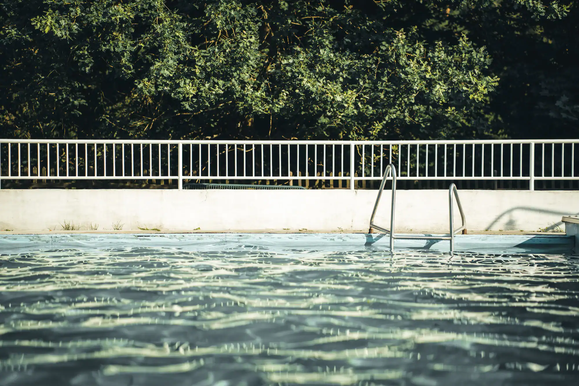 An outdoor swimming pool with gentle ripples on the water, a metal ladder, a white fence in the background, and leafy green trees beyond the fence under bright sunlight.