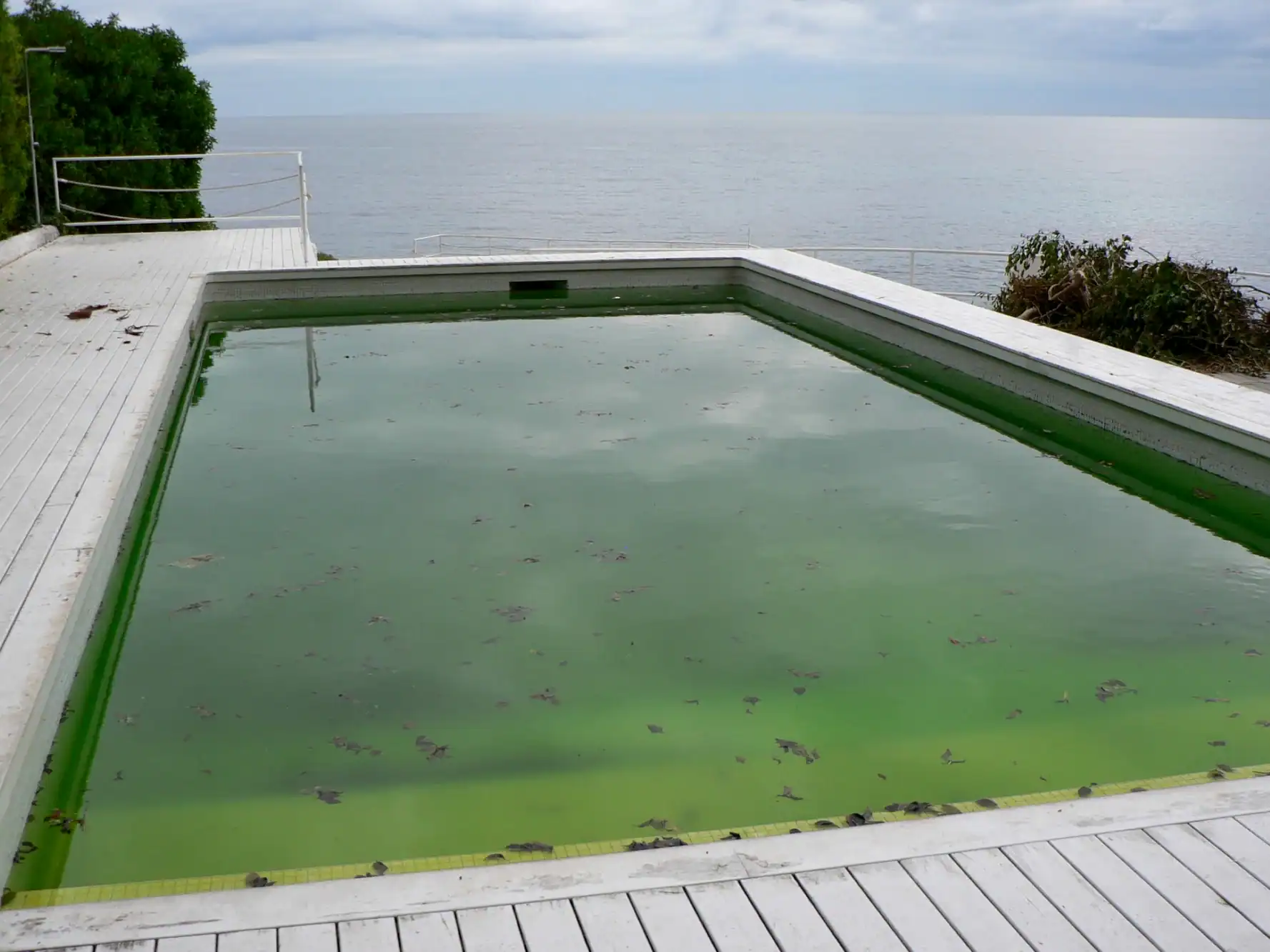 A rectangular swimming pool with green, murky water and scattered debris, surrounded by a white deck, overlooks a calm, cloudy sea.