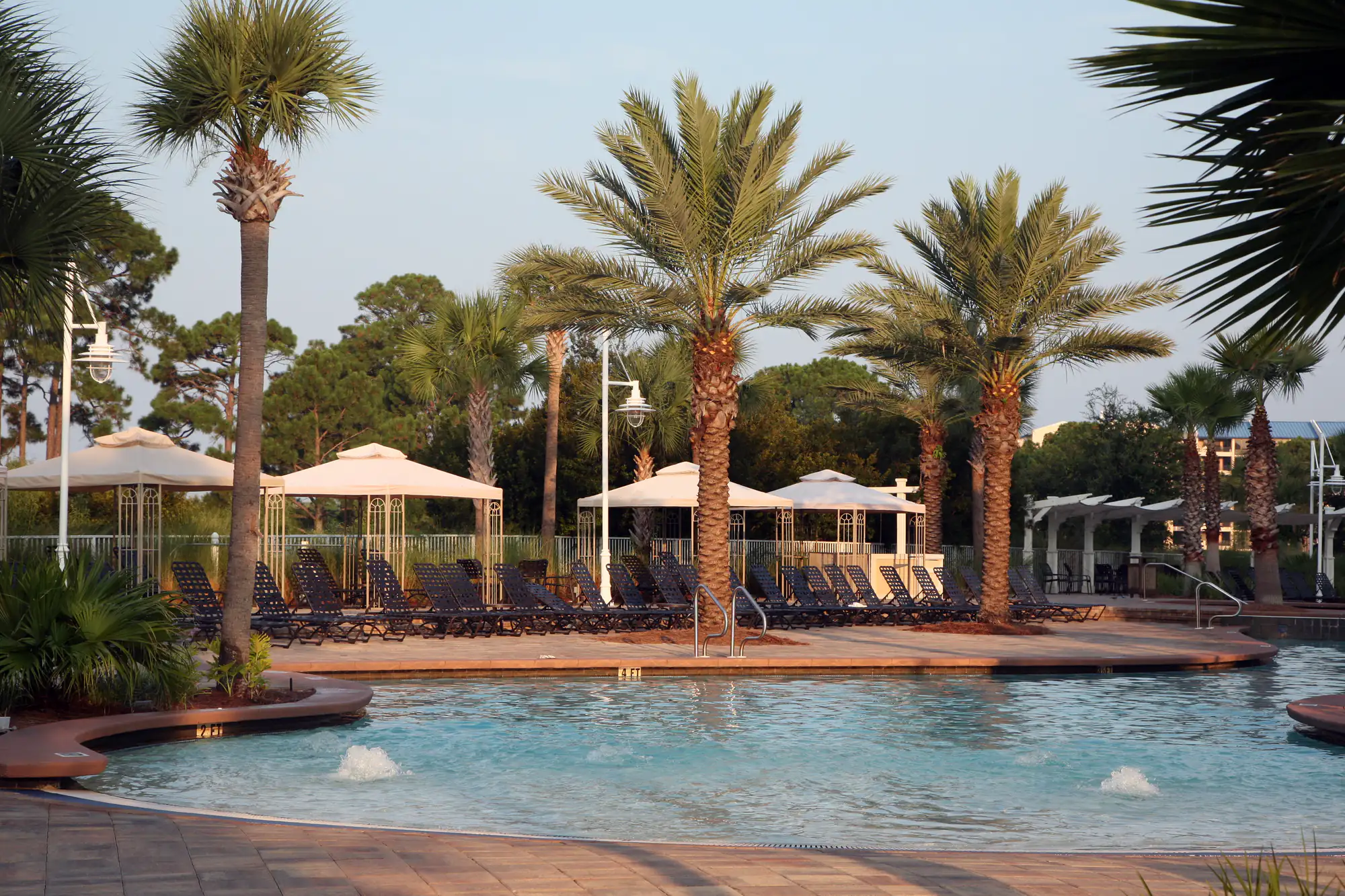 A resort-style swimming pool with lounge chairs, white umbrellas, and palm trees surrounding the pool deck on a sunny day. There are small fountains in the pool and greenery in the background.